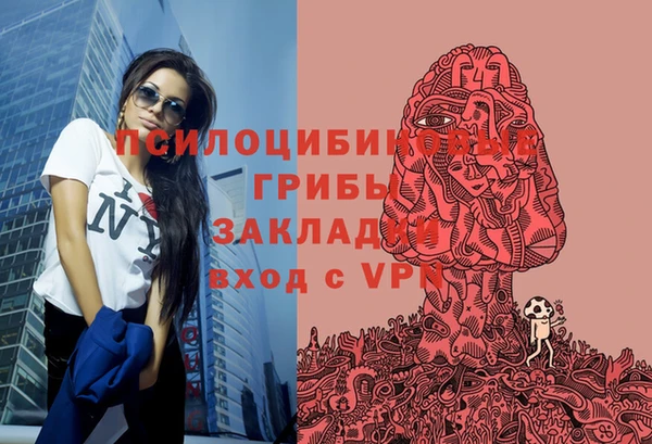 альфа пвп Козловка