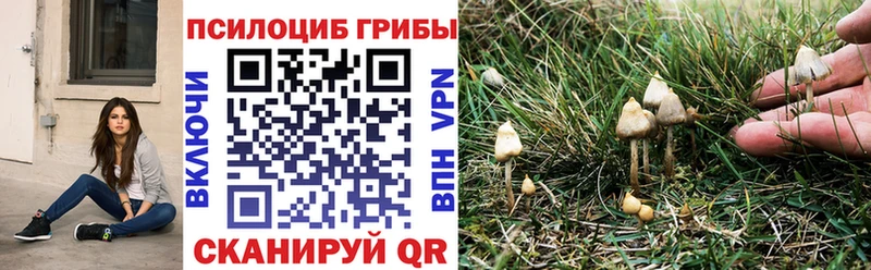 Купить закладки  Спасск  Псилоцибиновые грибы мухоморы 